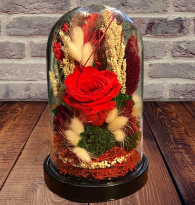 red anthurium-209tl Çiçeği & Ürünü Fanusta Solmayan Canlı Gül-219TL 
