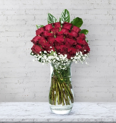 ficus elastica (kauçuk Çiçeği) Çiçeği & Ürünü Büyülü Aşk 25'li Kırmızı Güller 