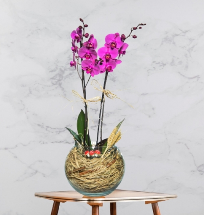 akvaryum vazo İçerisinde 7'li gül buketi Çiçeği & Ürünü Cam Fanusta 2 Dal Mor Orkide Çiçeği 