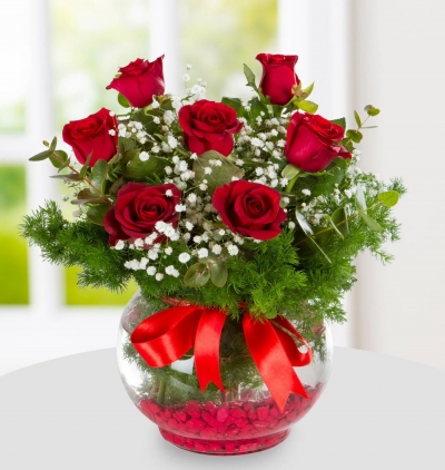 beyaz papatyalar ve kırmızı güller Çiçek buketi-169tl Çiçeği & Ürünü Akvaryum Vazoda 7 Kırmızı Gül-189TL 
