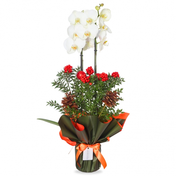 afşin çiçekçi (Beyaz Orkide ve Kokina Aranjmanı)