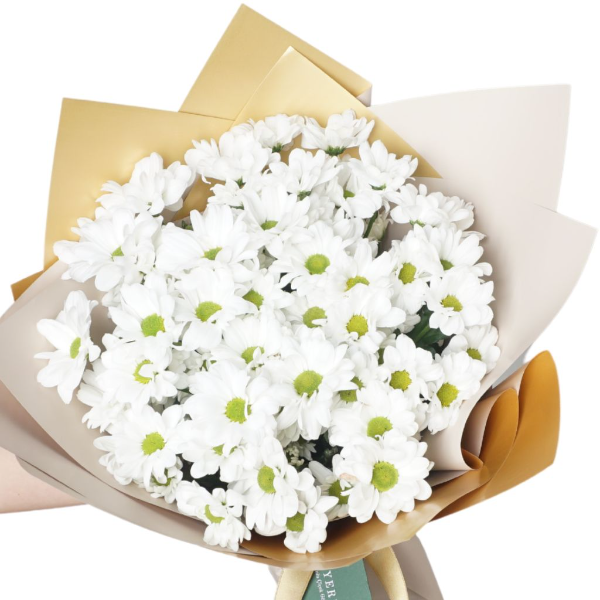 afşin çiçekçi Freshness (Büyük Beyaz Papatya Buketi)