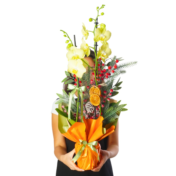 afşin çiçekçi Honey Festive Orchid (Sarı Orkide)