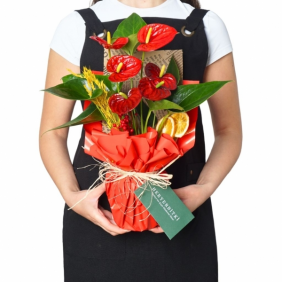  afşin çiçek (Kırmızı Antoryum Aranjmanı)