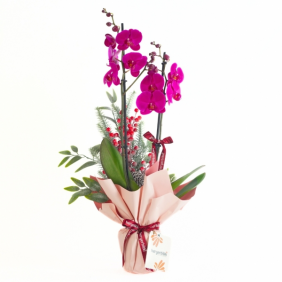  afşin çiçek sepeti Festive Purple Orchid (Mor Orkide)