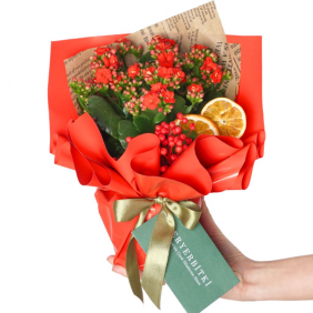  afşin çiçek sepeti Kalanchoe Gift (3 Renkli Çiçekli Kalanşo)