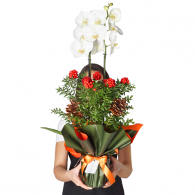 afşin çiçekçi (Beyaz Orkide ve Kokina Aranjmanı)
