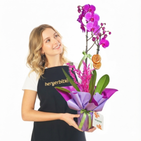  afşin çiçekçiler Blooming Orchid (Mor Orkide)
