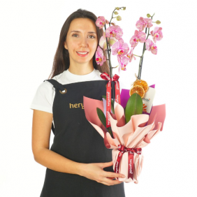  afşin çiçekçilik Charming Coral Orchid (Ateş Orkide)