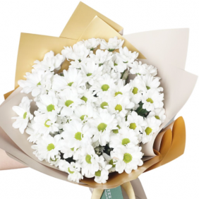 afşin çiçekçi Freshness (Büyük Beyaz Papatya Buketi)