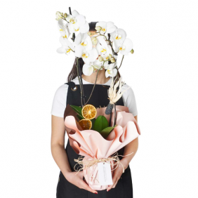  afşin çiçekçilik Pink Clouds (2 Dallı Beyaz Orkide Aranjmanı)