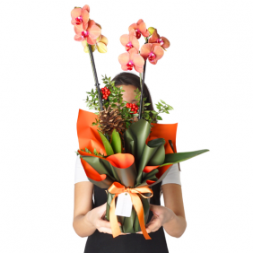  afşin çiçekçiler Santa's Favorite Coral (Ateş Orkide Aranjmanı)