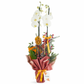  afşin çiçekçilik White Festive Orchid (Beyaz Orkide Aranjmanı)