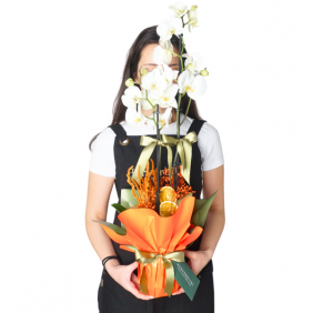  afşin çiçek Celebrate Orchid (Beyaz Orkide Aranjmanı)