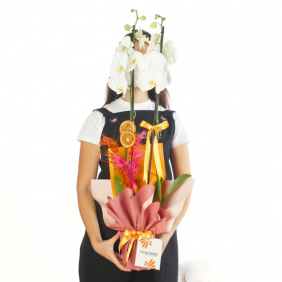 afşin çiçekçi Elegant White Orchid (Beyaz Orkide)