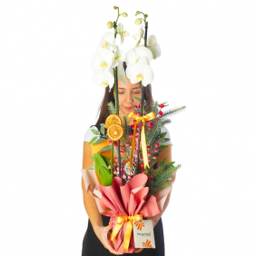  afşin çiçekçilik White Festive Orchid (Beyaz Orkide Aranjmanı)